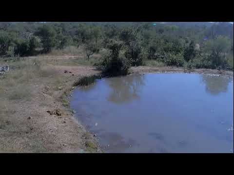 Pan Stream Pan Stream