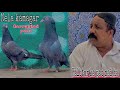 Nela Kamagar Kalbtor K Pao Q Nai Ha Ustad Salamat Peigon Nela Kamagar Kalbtor K Pao Q Nai Ha Ustad Salamat Peigon