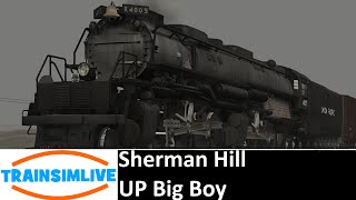 Train Simulator 2015 - Sherman Hill, UP Big Boy screenshot 2