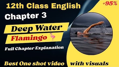 Deep Water Class 12 in Hindi Animated video| Chapter 3 English |Flamingo