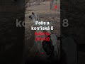 Polis a konfiská 8 kabritu hòrta
