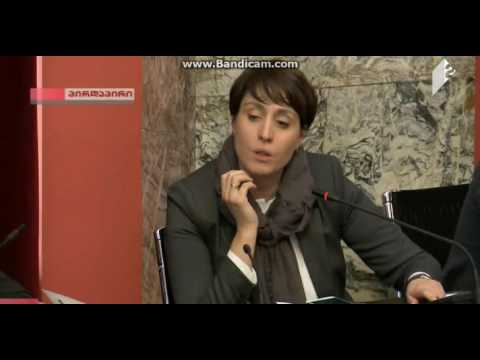 თეა წულუკიანი ელენე ხოშტარიას აკრიტიკებს