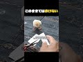 歩けないヒヨコを助けた方法