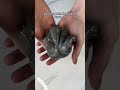 How To Fix Sticky Slime 