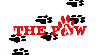 The Paw Live Stream