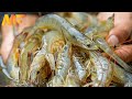 Modern Shrimp Farming  In Aquaculture Technology | shrimp Harvesting And Packing | Modern Farm➤#18