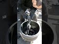 Wheel hub maintenance process