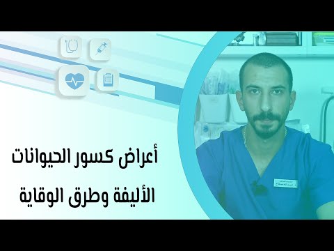 فيديو: كيفية إطعام قطة: 14 خطوة (بالصور)