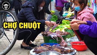Thịt chuột CANH NẬU nướng GIÒN TAN | TẠI SAO ?? thịt chuột là món ăn Khoái khẩu của làng #hanoifood
