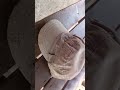 random things Edits part 1 #viral #shortvideo #shorts #trending #edit