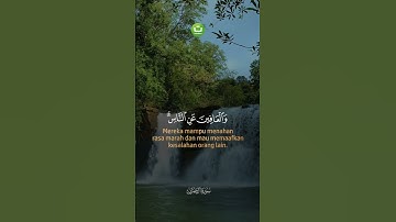 سوره علی عمران 133-136 #تدابورد