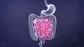 Science Animation - Fatty Acids in the SN2 Position