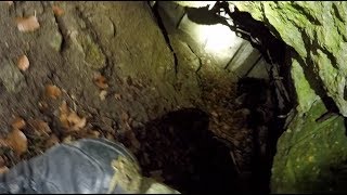 Underground Bunker In The Forrest