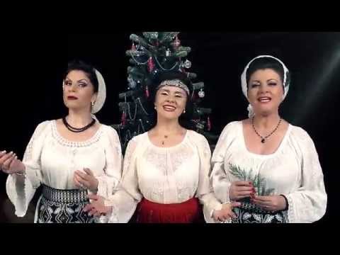 S. SIMA, ENCEANU, PETRICA MITU, NICULINA, M. CAPITANESCU, RAOUL - IN SEARA DE CRACIUN (VIDEO)
