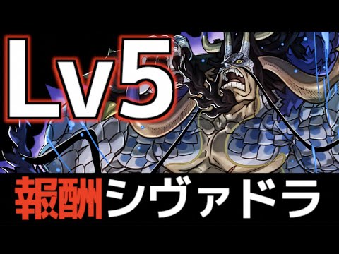 【Lv5】簡易カイドウ編成を紹介！10周年記念チャレンジ⑤【パズドラ】