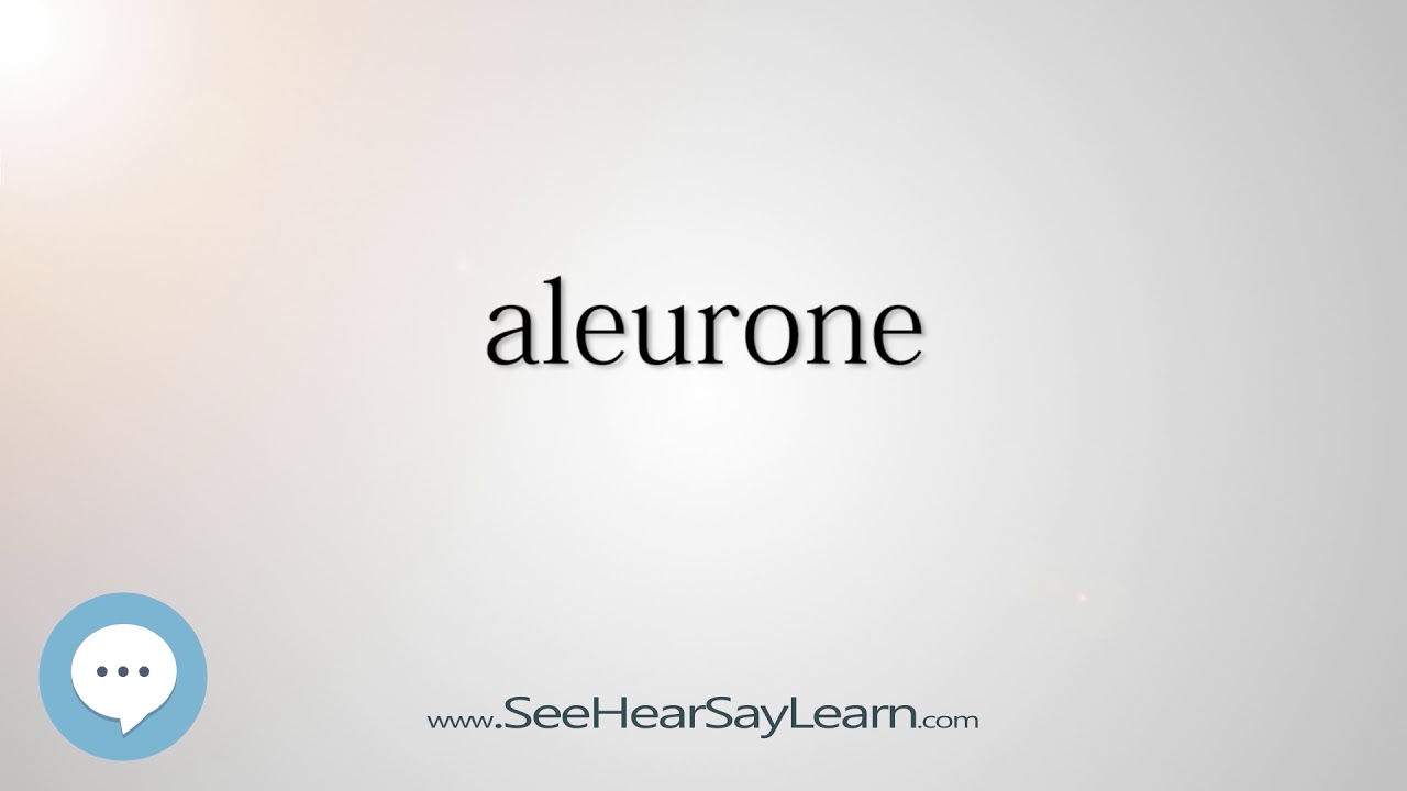 aleurone (Every English Word Pronounced) 📕🔊🗣️😎✅