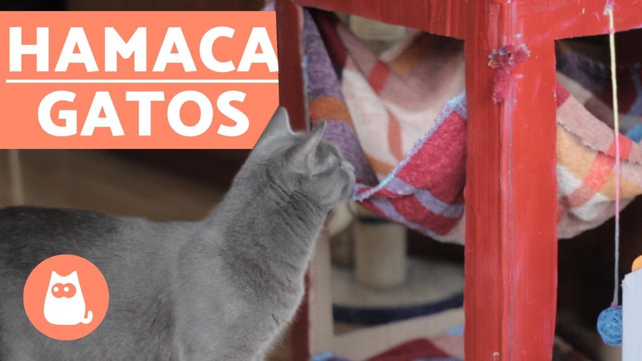 Hamaca para gatos DIY - ¡MUY FÁCIL! 