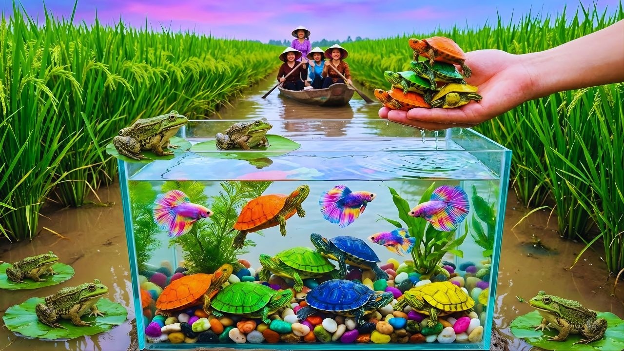 Gentle Insect Catch & Release ASMR | Forest Micro Sounds, No Music