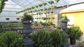 Gallrein Farms Showcase