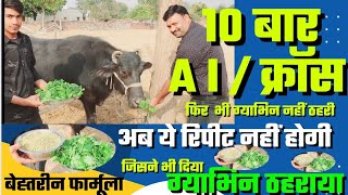 What to do to make a buffalo pregnant? How to make a buffalo pregnant? Buffalo is not getting pre... screenshot 4