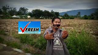 Vfresh Advertisement