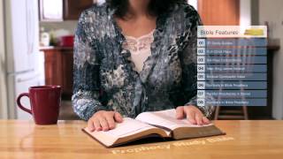 "NEW" Prophecy Study Bible