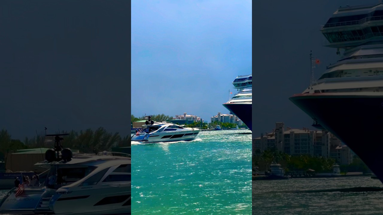 Carnival Conquest 🛳️ #share #subscribe #comment #cruise #vacation #shortvideo #shortsvideo #shorts