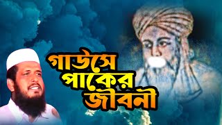 বড় পীরের জীবন কাহিনী | তোফাজ্জল হোসেন | Tofazzol Hossain | Bangla Waz