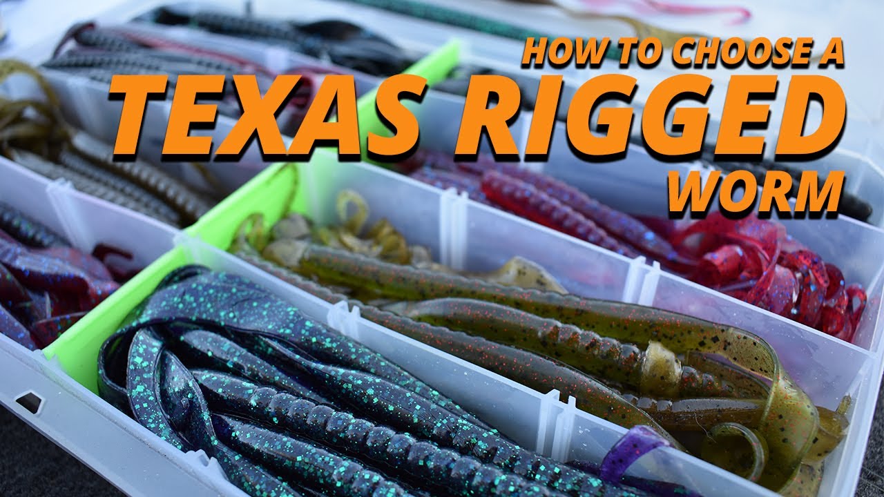 How to Choose the Right Texas Rigged Worm 