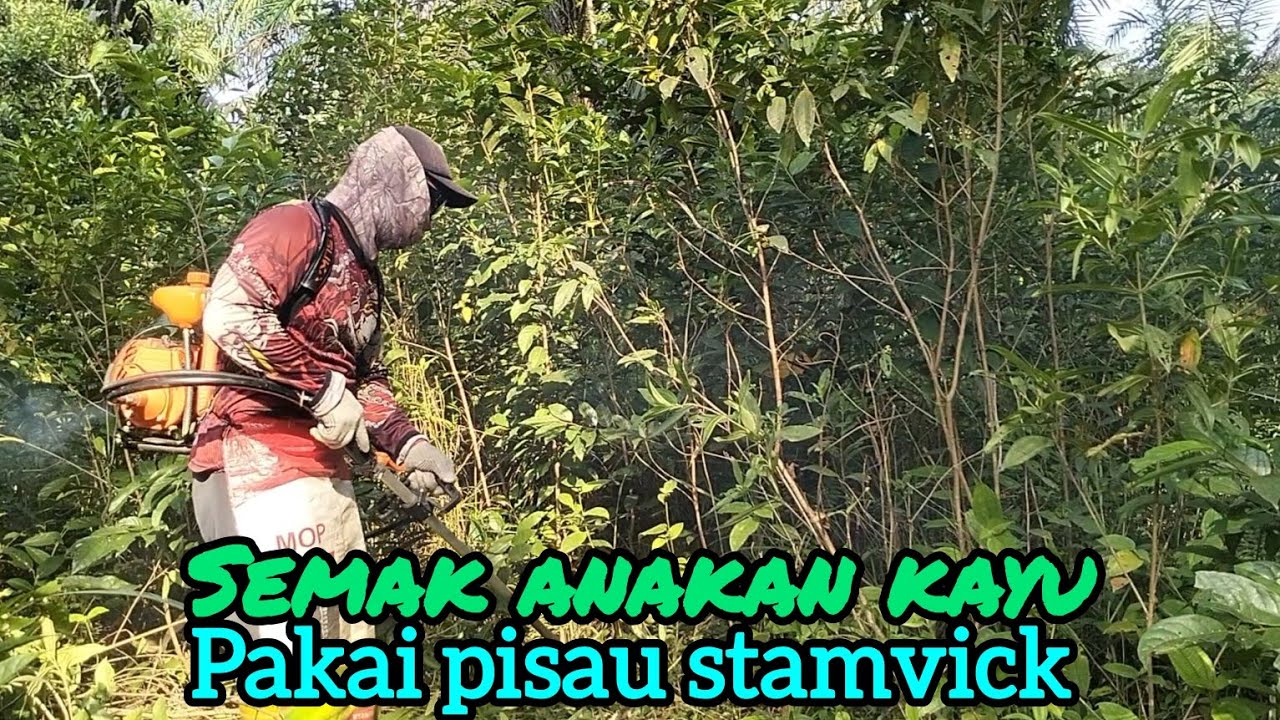 #mesinrumput, #babat super semak, pakai pisau #stamvick