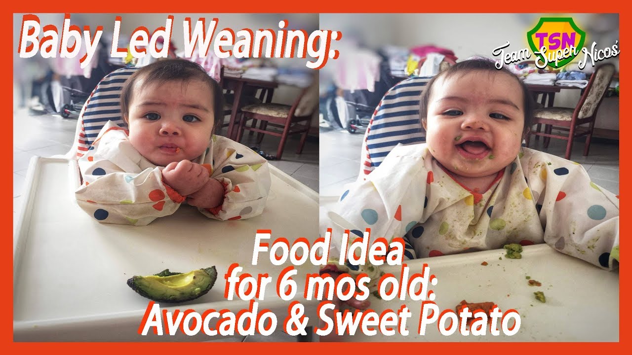 avocado for six month baby