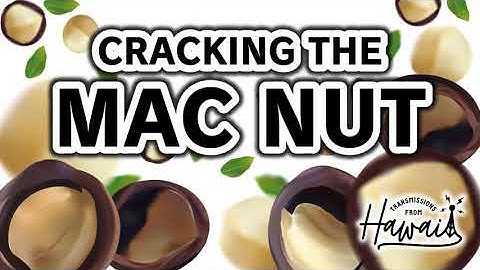 03 Cracking the Mac Nut: Exploring the Fascinating History of the Macadamia