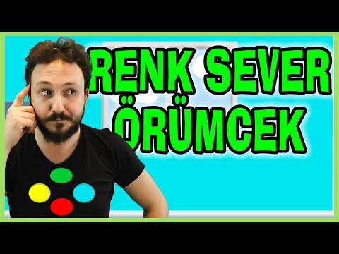 RENK SEVER ÖRÜMCEK | Renkler Şarkısı Okul Öncesi | Kreş Müzikleri | Örümcek Şarkısı | Burak Onurlu