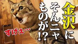 【遂に完成】大地震後に初めて妻と一緒に金沢に誕生した「どデカい」場所へ行ってきました