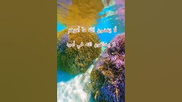 سورة التحريم من الآية ﴿٦﴾ إلي الآية ﴿٧﴾ بصوت القارئ إسلام صبحي