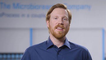 Japanese: Cell death // Microbioreactor // m2p labs