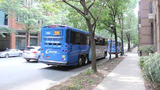 CATS Express 2017 MCI D4500CT Commuter Coach 1504 on Route 53X Express