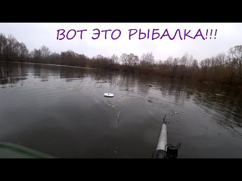 Видео: К ВЕЧЕРУ КРУЖКИ СОШЛИ С УМА!