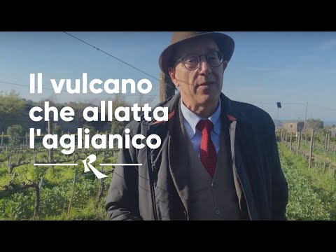 Cantine del Notaio  - Il vulcano che allatta l'aglianico