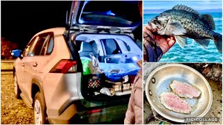 Camping in RAV4 LE AWD Part 1 - Fishing Catch &amp; Cook