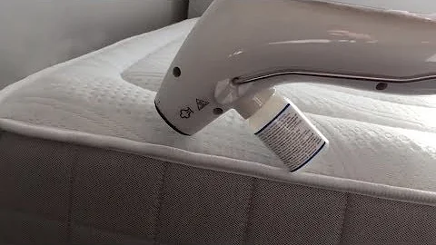 Comment tuer les punaises de lit à la vapeur ?