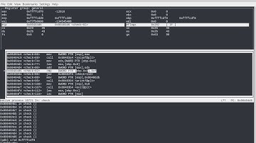 reverse engineering with gdb crackme0x04