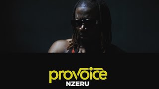 PROVOICE  - NZERU