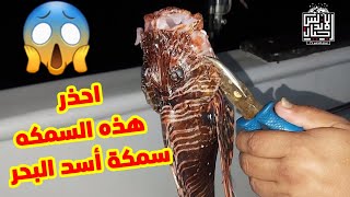 احذر هذه السمكه?? |  سمكة التنين أو سمكة ديك البحر?? @اجيال الاندلس