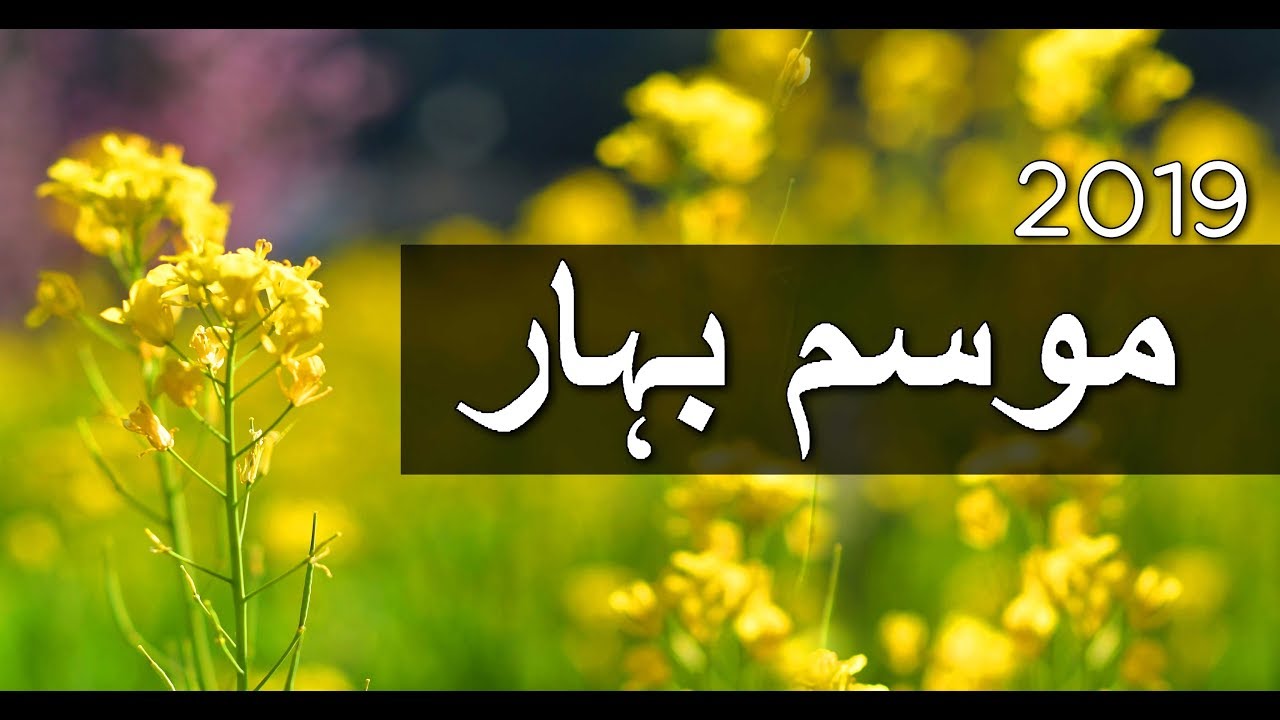 Swat valley spring season 2019 KPK Pakistan