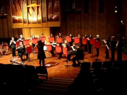 Baroque Hoedown (Flautissimo the Southampton Flute...