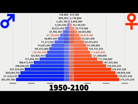   세계 인구 피라미드 변화 1950 2100