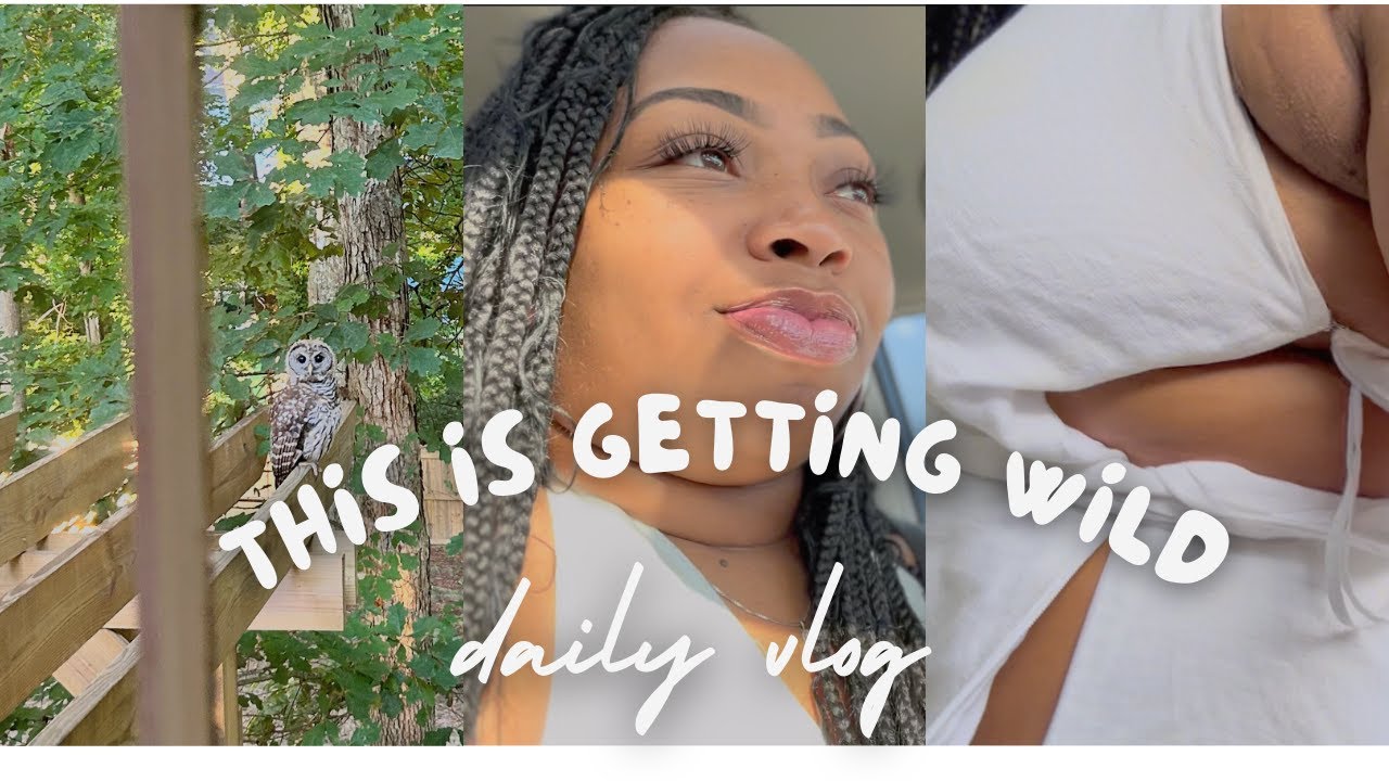 THIS IS GETTING WILD!!! YouTube