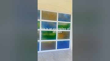 Performance Task 2:  PATTERNS IN NATURE