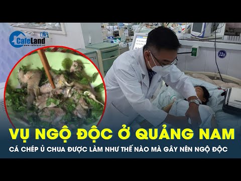 Cá chép muối ủ chua được làm như thế nào mà gây nên chùm ngộ độc ở Quảng Nam 